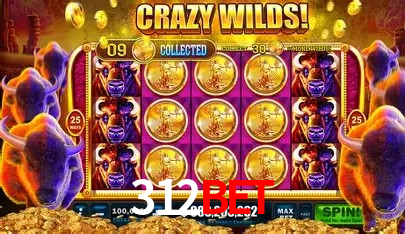 Ofertas Exclusivas 312bet